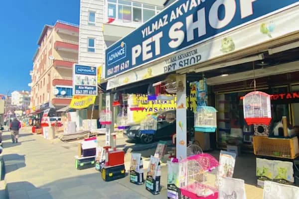 Petshop yılmaz - Akvaryum Mağazası - Ankara Pursaklar