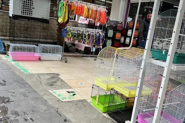 Selanik Pet Shop - Evcil hayvan mağazası - Ankara Akyurt