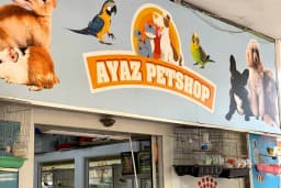 Rich Puppy Pet Shop &amp; Pet Kuaför &amp; Pet Cafe