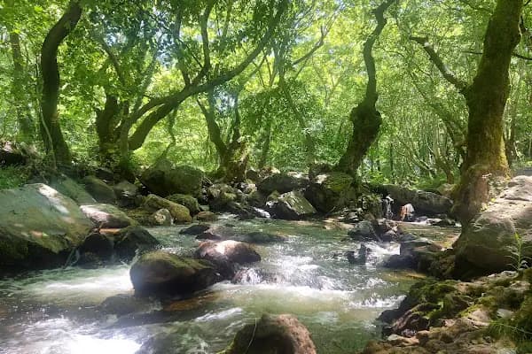 Çaylak Mesire Yeri - Park - Balıkesir Susurluk