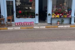 Sera Çiçek &amp; Ajans
