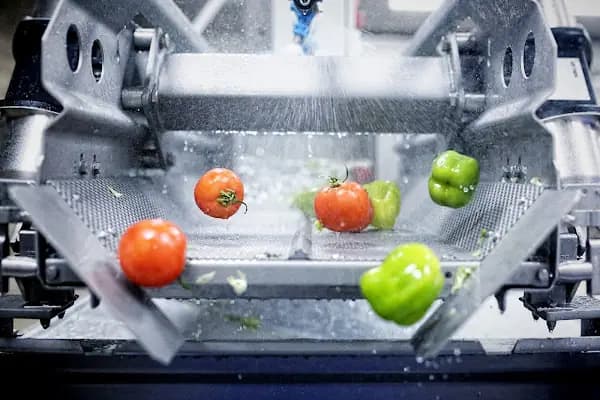 Bursa Safran Yemek - Yiyecek Temini ve İkram Hizmeti - Bursa Osmangazi