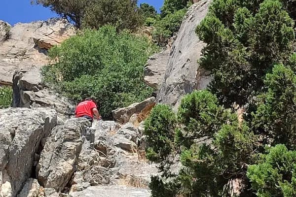 Pozantı İtfaiye Merkezi - İtfaiye İstasyonu - Adana Çukurova