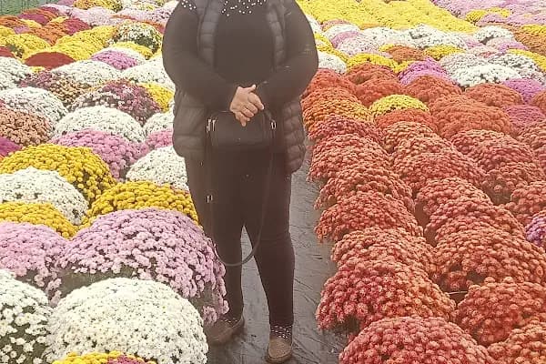 Kozaklı Nur Çiçekçilik - Çiçekçi - İzmir Aliağa