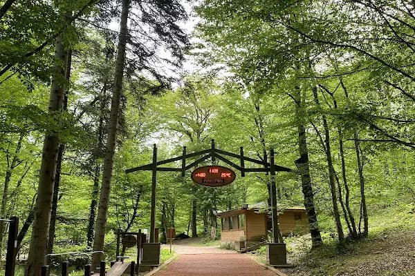 Belgrad Ormanı yürüyüş parkuru - Yürüyüş Alanı - İstanbul Adalar