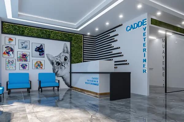 Cadde Veteriner Kliniği - Veteriner - Sakarya Serdivan