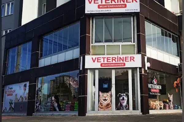 Damla Veteriner Muayenehanesi - Veteriner - Gaziantep Şahinbey