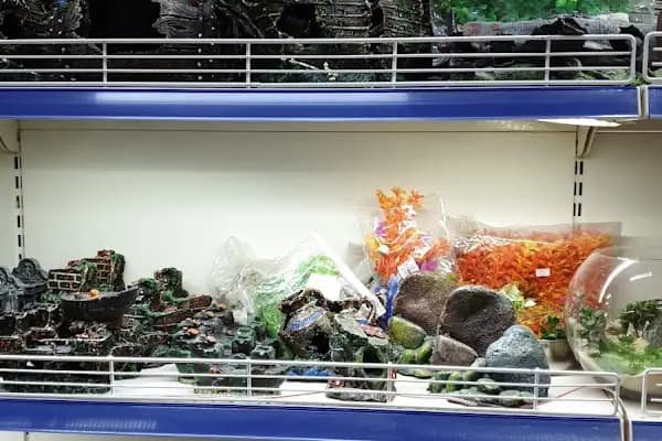 Baracuda Pet Shop - Evcil hayvan mağazası - Bursa Nilüfer