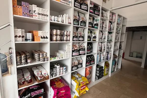 BODRUM VETERİNER - VETMASTERS Veteriner kliniği - Veteriner - Muğla Bodrum