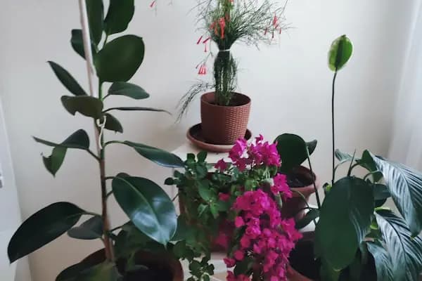 Nurdağı Gıda Anonim Şirketi Anaokulu - Okul - Gaziantep Nurdağı