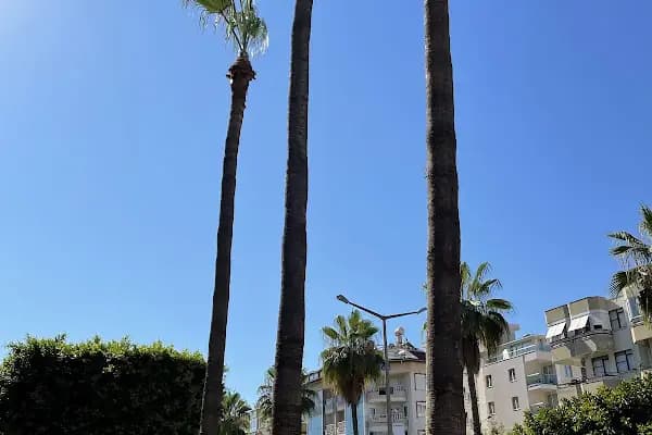 Change Office - Fotoğrafçı - Antalya Alanya