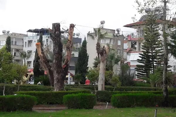 Denizhan Sitesi - Konut Geliştirme - Mersin Anamur
