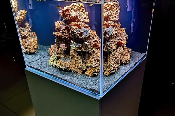 Ortadoğu Akvaryum ve Pet Shop - Evcil hayvan mağazası - Ankara Çankaya