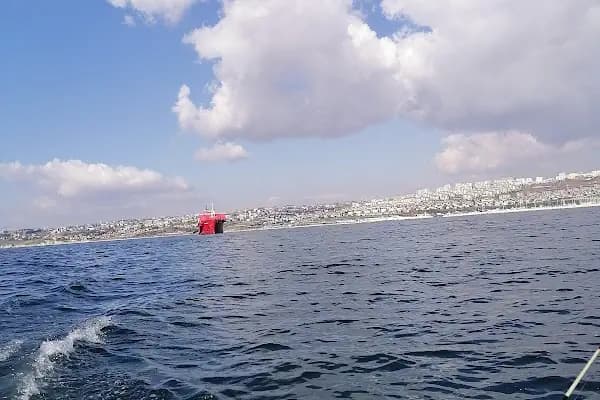 Ambarlı Liman Başkanlığı - Yerel Resmi Daire - İstanbul Beylikdüzü
