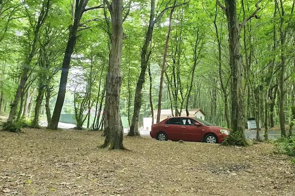 Fatih Ormanı Tabiat Parkı - Milli Park - İstanbul Sarıyer