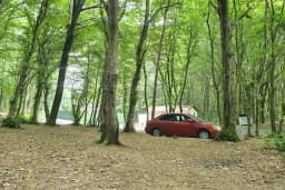Fatih Ormanı Tabiat Parkı