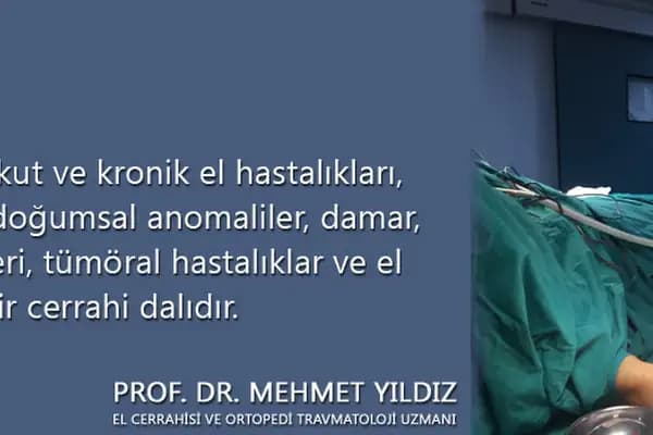Prof. Dr. Mehmet YILDIZ Trabzon El Cerrahisi - El Cerrahisi Uzmanı - Trabzon Ortahisar