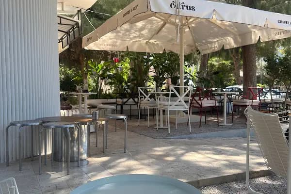 Citrus - Kahve dükkanı - İzmir Balçova