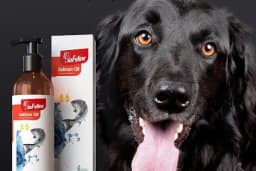 PAŞA PETSHOP MİLLET