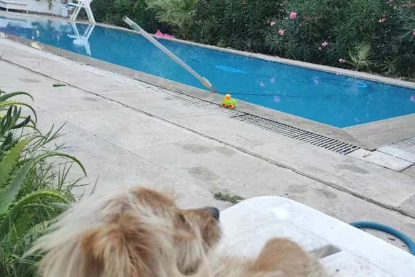 Aras Kargo Turgutreis Şubesi - Kargo Şirketi - Muğla Bodrum