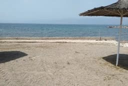 Martı Koyu