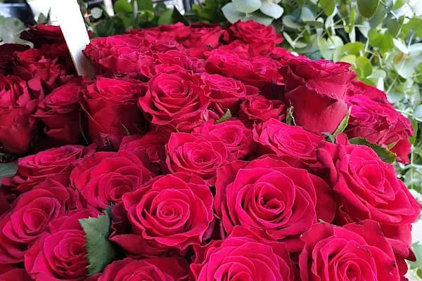 s.s flora çiçek üretim ve pazarlama kooperatifi - Çiçek Toptancısı - İzmir Aliağa