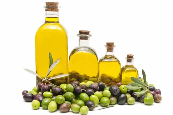 Yaykın zeytin-zeytinyağı fabrikası - Zeytinyağı Üreticisi - Aydın Kuyucak