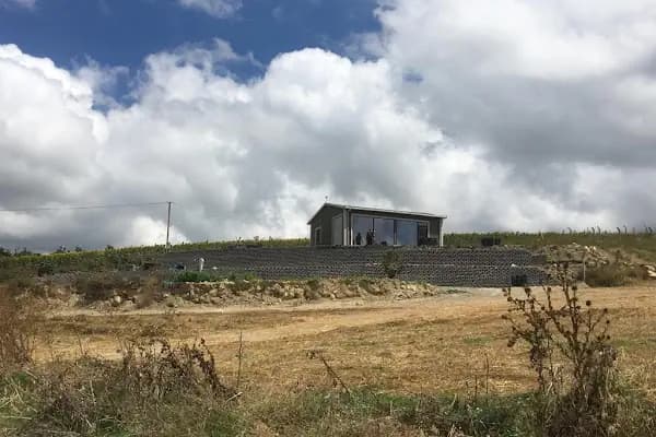 ÜMYA YAZLIK - Üzüm Bağı - İstanbul Pendik