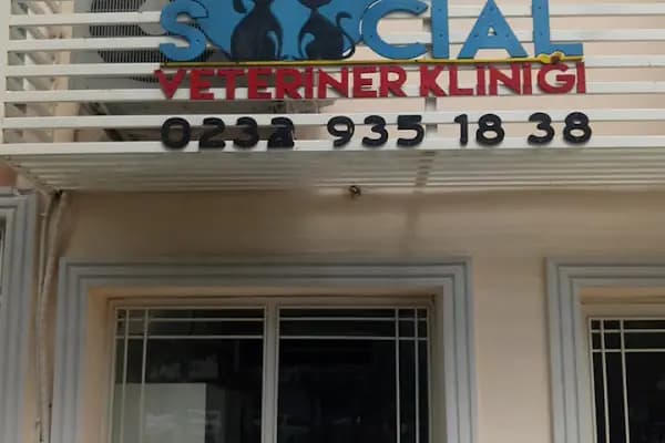 Social Veteriner Kliniği - Acil Durum Veterinerlik Hizmeti - İzmir Bayraklı