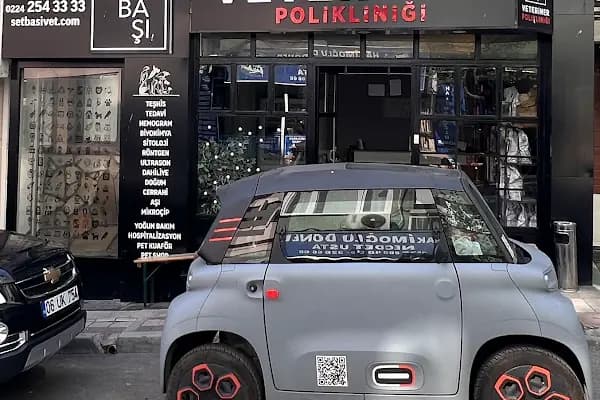 Setbaşı Veteriner 7/24 nöbetçi acil - Veteriner - Bursa Yıldırım