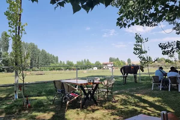 Özsarı At Çiftliği At Binim Merkezi Kahvaltı ve Restaurant - Restoran - Konya Ereğli