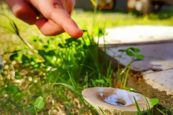 Ant Çocuk Akademi Adana Anaokulu ve Kreş - Anaokulu - Adana Çukurova