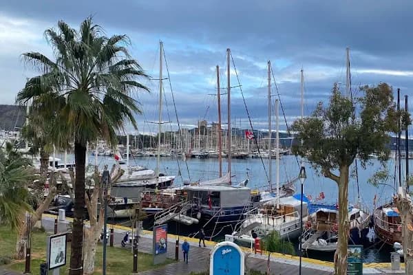 Bodrum Ecofarm Kamp &amp; Bungalow &amp; Karavan - Kamp Alanı - Muğla Bodrum