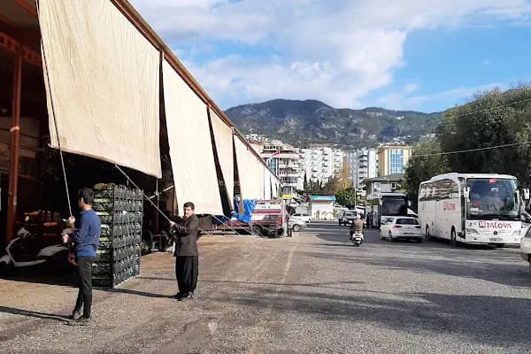 AVŞAROĞULLARI SEBZE VE MEYVE KOMİSYONCULUĞU - Sebze Toptan Satış Pazarı - Antalya Kepez