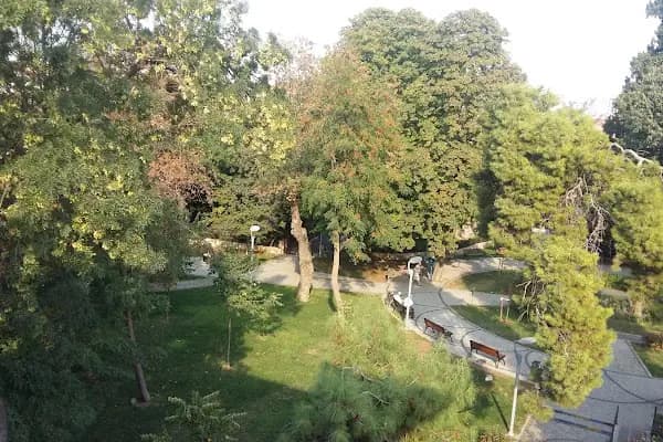 Bakırköy Belediyesi Millet Gezi Parkı - Park - İstanbul Bakırköy