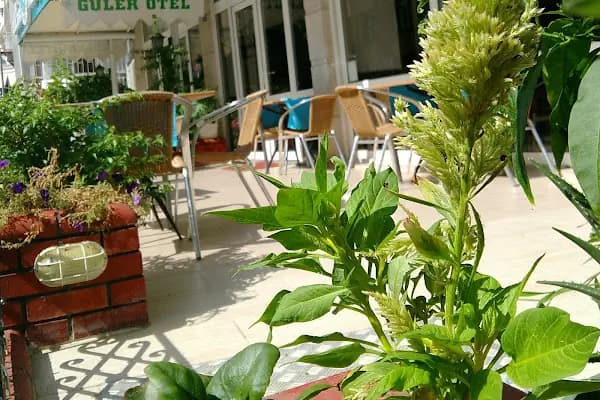 Güler Otel - Otel - Antalya Alanya