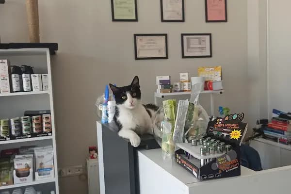 Genpet Veteriner Kliniği Selçuklu Konya - Veteriner - Konya Selçuklu