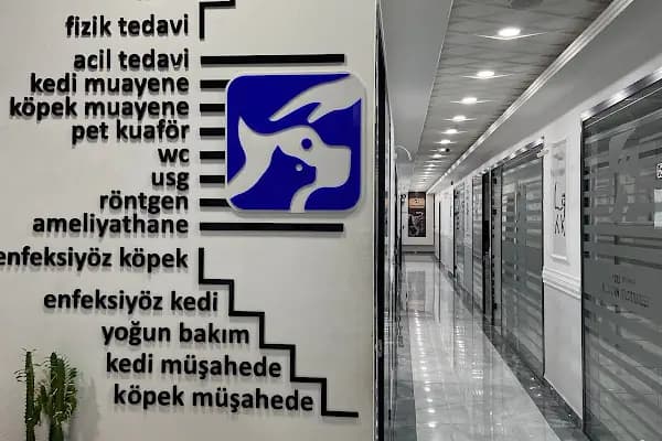 Özel Bursa Hayvan Hastanesi acil nöbetçi 7/24 veteriner - Hayvan Hastanesi - Bursa Kestel