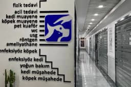 Özel Bursa Hayvan Hastanesi acil nöbetçi 7/24 veteriner