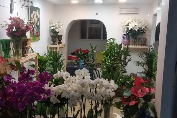 Büyükada İnci Çiçek Evi - Çiçekçi - İstanbul Beylikdüzü