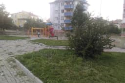 Barış Park