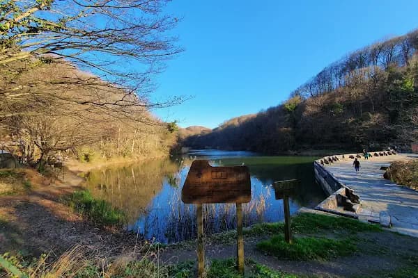 Ayvat Bendi Tabiat Parkı - Ulusal park - İstanbul Sarıyer