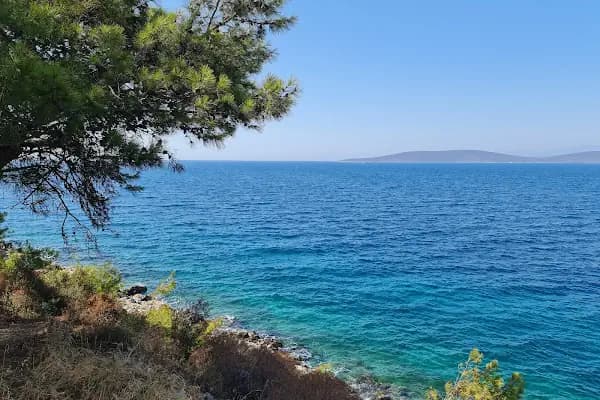 Eskici Bodrum - Bar - Muğla Dalaman