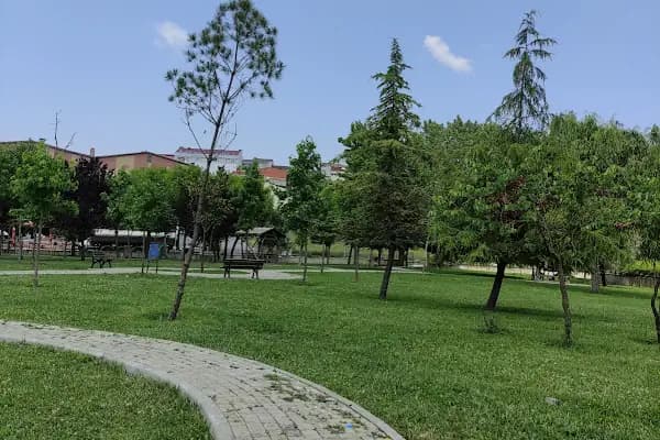 Taşoluk Parkı - Park - İstanbul Arnavutköy