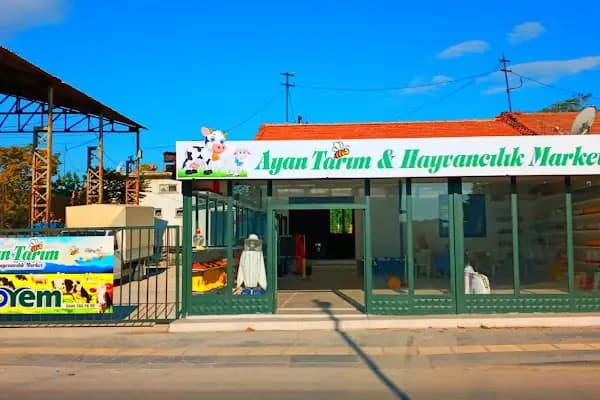 CP Yem Bayisi - Ayan Tarım ve Hayvancılık Marketi - Market - Ankara Beypazarı
