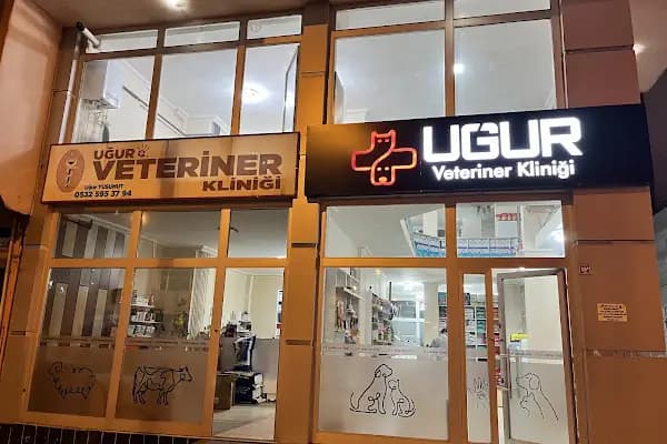 KARS, UĞUR PET VETERİNER KLİNİĞİ - Veteriner - Kars Akyaka