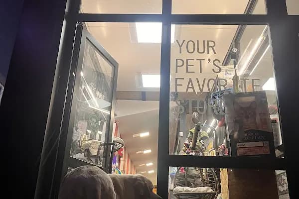 Pike Pet Market - Evcil hayvan mağazası - Kocaeli İzmit