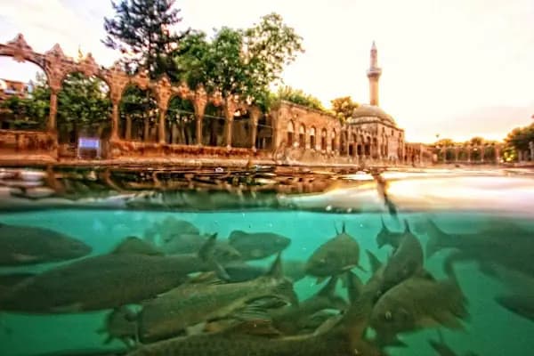 Balıklıgöl - Tarihi Yer - Şanlıurfa Eyyübiye
