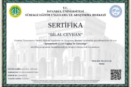 İzel Halı Yıkama