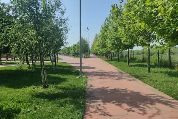 Akpınar Bölge Parkı - Park - İstanbul Arnavutköy
